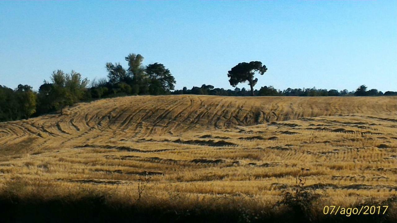 Affittacamere Da Laura Silvi Orvieto Buitenkant foto